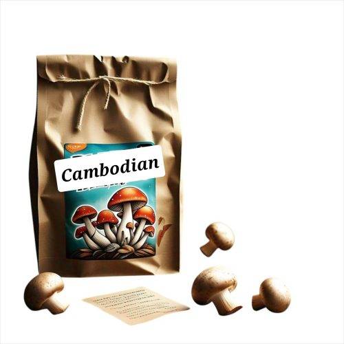 Cambodian Magic Mushrooms – Buy Premium Psilocybin Shrooms Online Cambodian Magic Mushrooms – Premium Psilocybin Mushrooms from Cambodia
