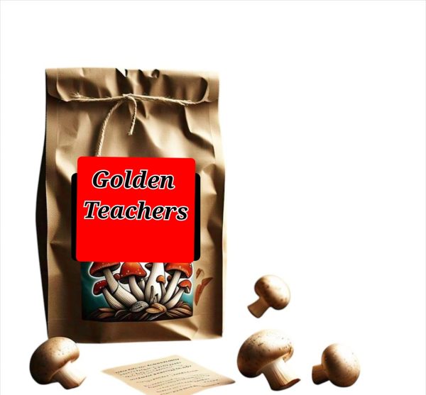 Golden Teacher mushrooms with golden caps and white stems, premium psilocybin strain for introspective journeys and therapeutic use.