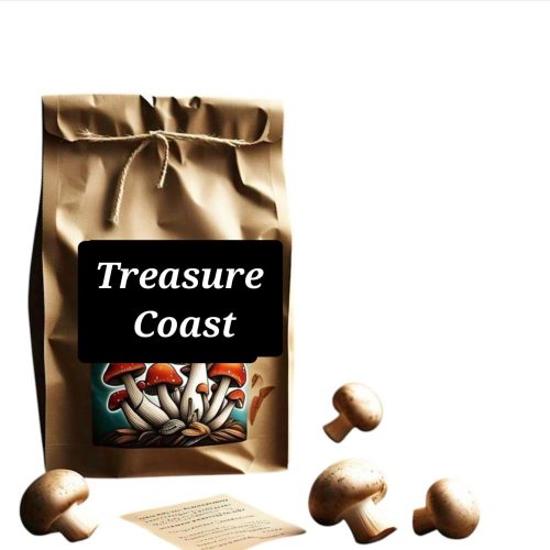 Treasure Coast psilocybin mushrooms on a natural wood background, showcasing premium dried shrooms with high potency for microdosing and clarity.
