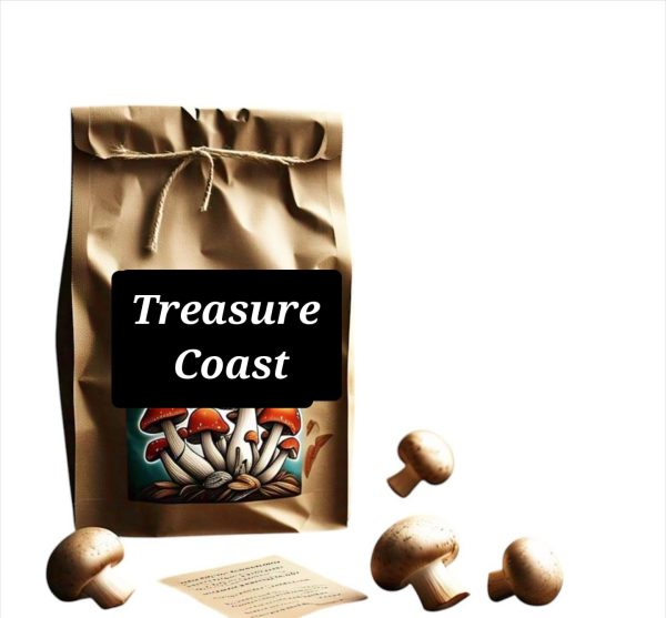Treasure Coast psilocybin mushrooms on a natural wood background, showcasing premium dried shrooms with high potency for microdosing and clarity.