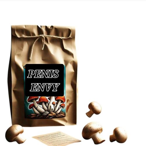 Close-up of dried Penis Envy mushrooms with thick white stems and golden caps, premium psilocybin strain for deep psychedelic experiences or microdosing.