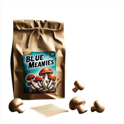 Blue Meanie Mushrooms for Sale – Potent Psilocybin with Intense Visuals Close-up of dried Blue Meanie mushrooms showing blue bruising and psilocybin-rich caps